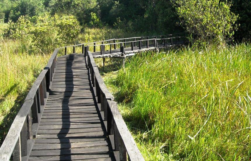 Saiwa Swamp National Park（赛瓦沼泽国家公园）-非行家旅行-Africa Wild Wander