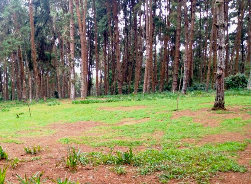 Kamuruana Hill(卡穆鲁阿纳山)-非行家旅行-Africa Wild Wander