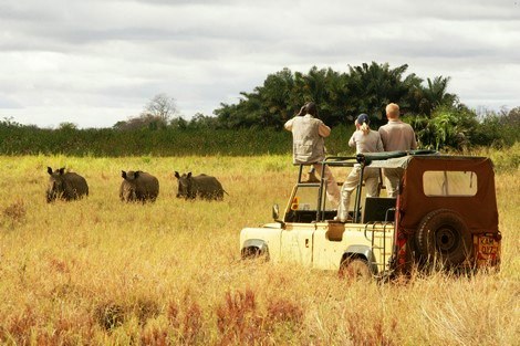 Amboseli National Park, Meru National Park, Marsabit Park, Sibiloi National Park, Lake Nakuru National Park（水系 / 湖泊 / 海岸）-非行家旅行-Africa Wild Wander