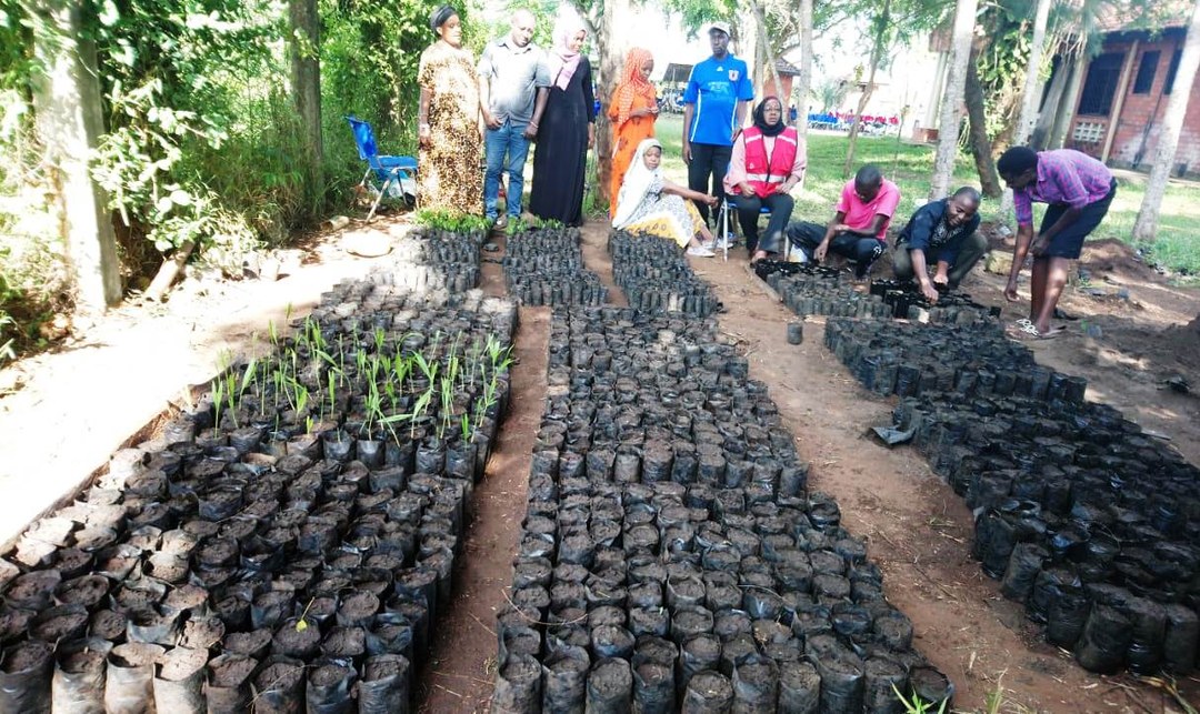 WWF Tree Nursery（社区生态 / 自然教育）-非行家旅行-Africa Wild Wander