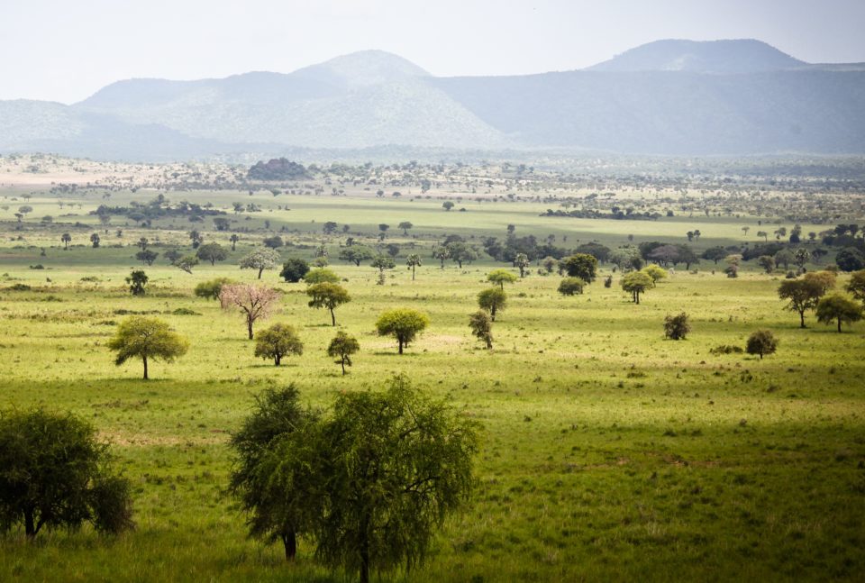 About East Africa（县域概览）-非行家旅行-Africa Wild Wander