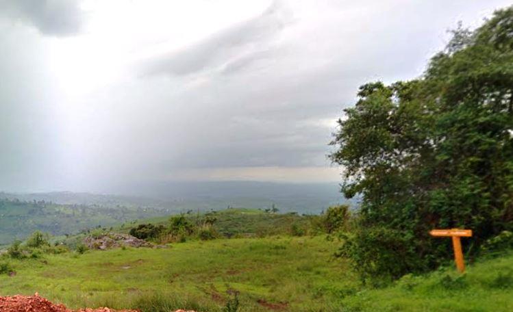 Endebess Bluff / Elephant Platform（恩德贝斯观景台）-非行家旅行-Africa Wild Wander