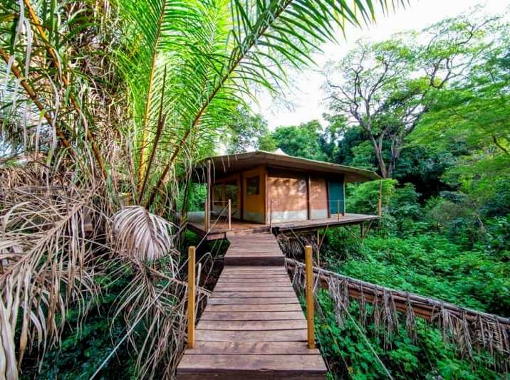 Rhino River Camp（Meru National Park / Safari）-非行家旅行-Africa Wild Wander