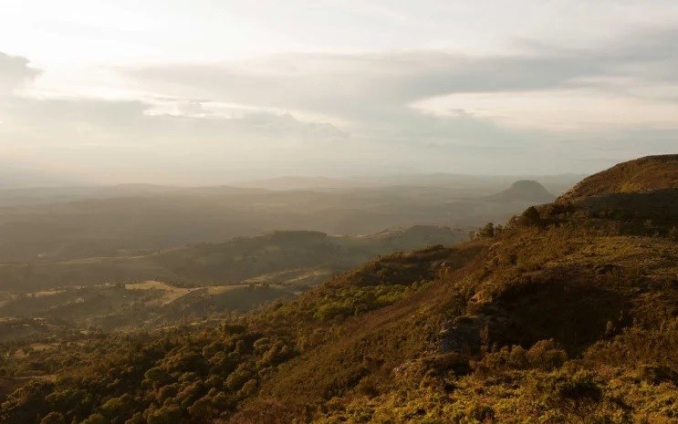 The Foothills（自然景观 / 徒步）-非行家旅行-Africa Wild Wander