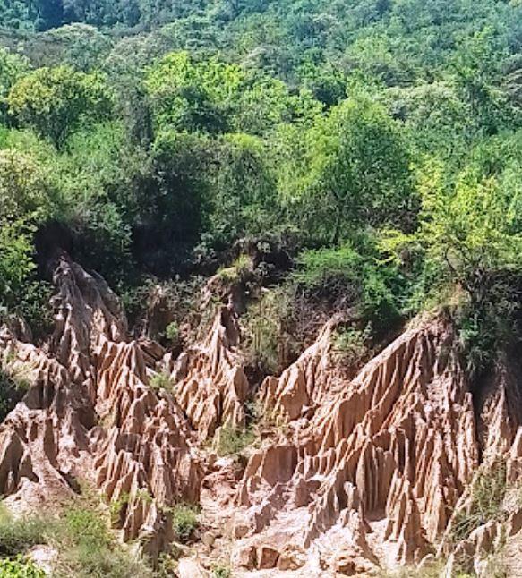 Murinduko Hill Forest(穆林杜科山森林)-非行家旅行-Africa Wild Wander