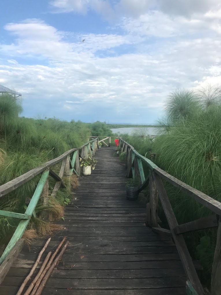 Nature Parks（自然地貌 / 户外）-非行家旅行-Africa Wild Wander