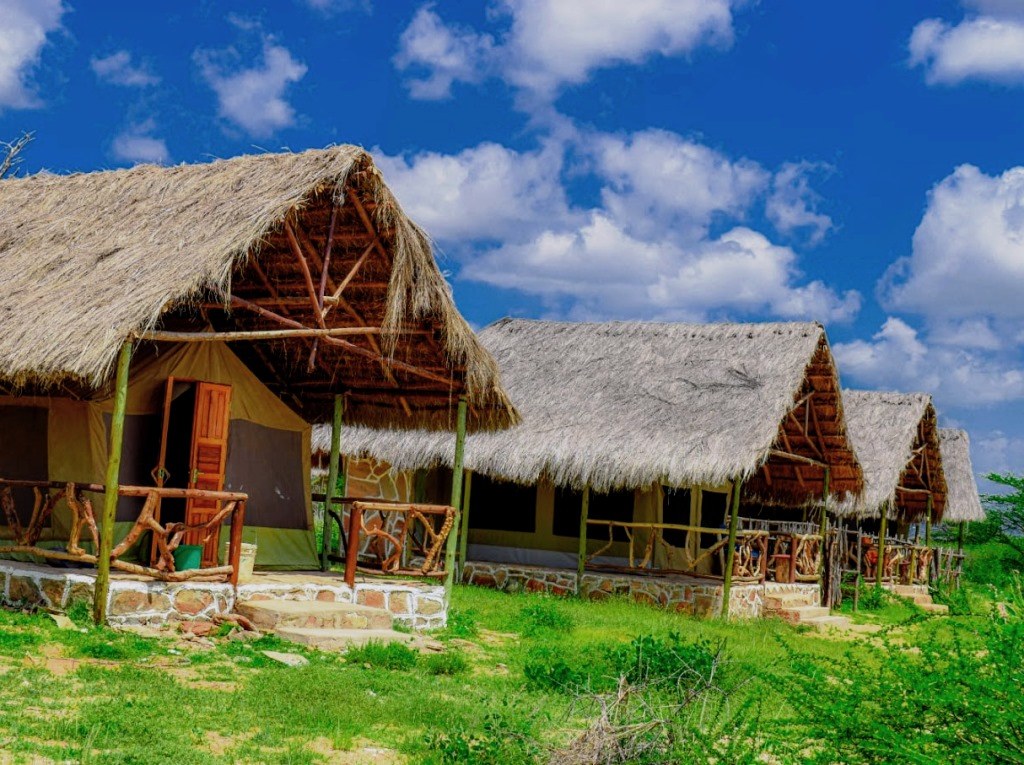 Nashipa Eco Camp(住宿 / Safari 营地)-非行家旅行-Africa Wild Wander