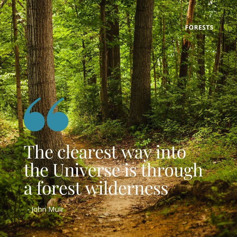 Forests in Kenya（水系 / 湖泊 / 海岸）-非行家旅行-Africa Wild Wander
