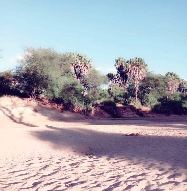 Kora Wells（水系 / 湖泊 / 海岸）-非行家旅行-Africa Wild Wander