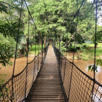 Savage Wilderness(萨加纳荒野探险营)-非行家旅行-Africa Wild Wander