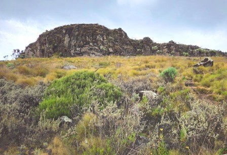 Table Mountain（Aberdare 高山 / 徒步）-非行家旅行-Africa Wild Wander