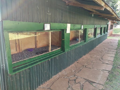Kabarnet Museum-非行家旅行-Africa Wild Wander