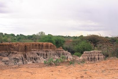 Olduka Valley-非行家旅行-Africa Wild Wander