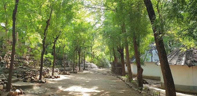 Marich Pass Field Center（水系 / 湖泊 / 海岸）-非行家旅行-Africa Wild Wander