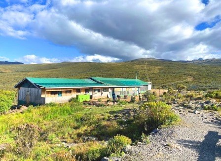 Mount Kenya One-Day Trip（Mount Kenya / 高山路线）-非行家旅行-Africa Wild Wander