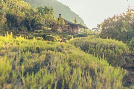 Rutundu Log Cabins（县域目的地）-非行家旅行-Africa Wild Wander