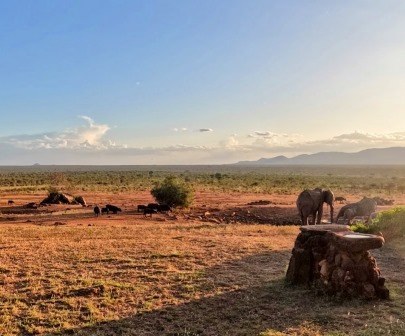 Kamboyo Lodge（Tsavo West / 火山与泉水）-非行家旅行-Africa Wild Wander