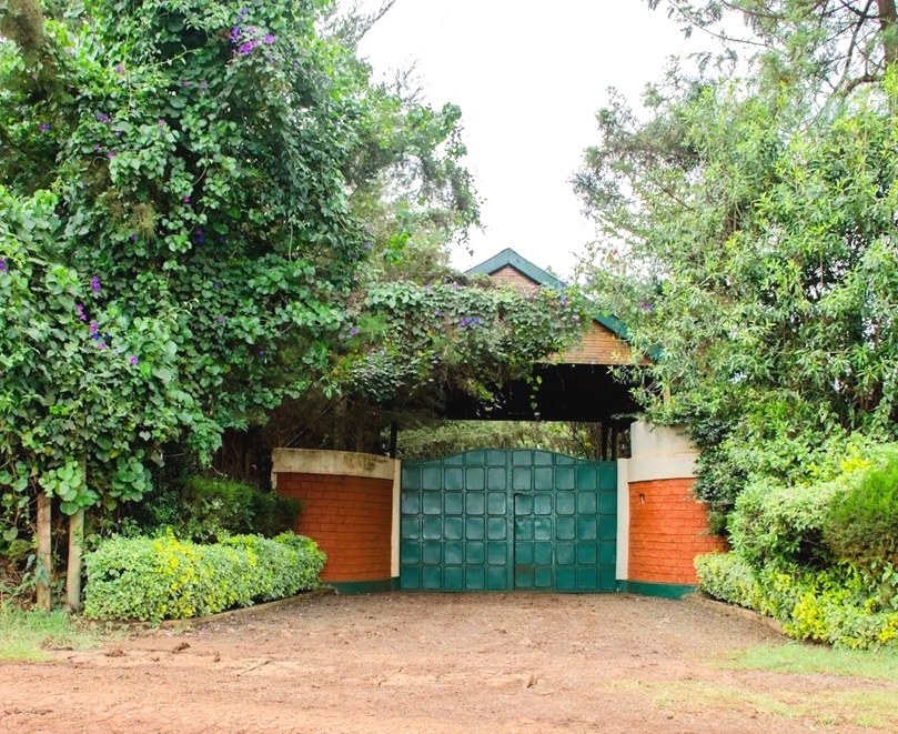 Greenwoods Resort（格林伍兹度假村）-非行家旅行-Africa Wild Wander