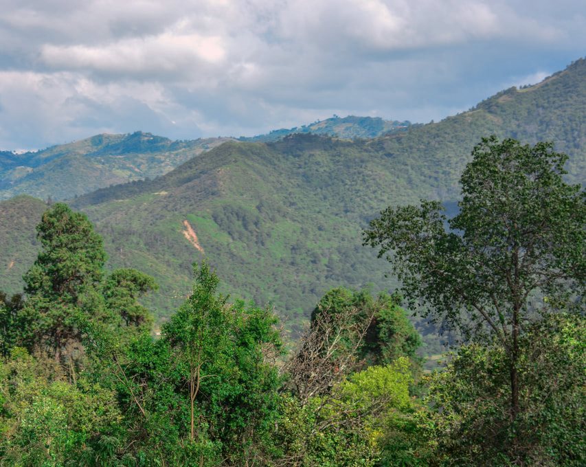 Kamatira Forest（历史遗产 / 博物馆）-非行家旅行-Africa Wild Wander