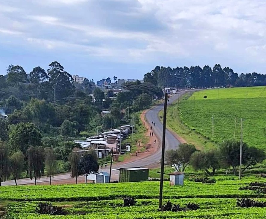 Nandi Hills（南迪丘陵）-非行家旅行-Africa Wild Wander