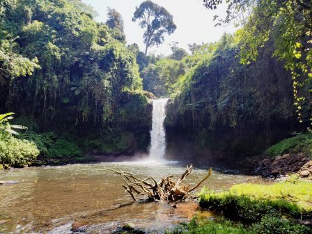 Castle Falls（城堡瀑布）