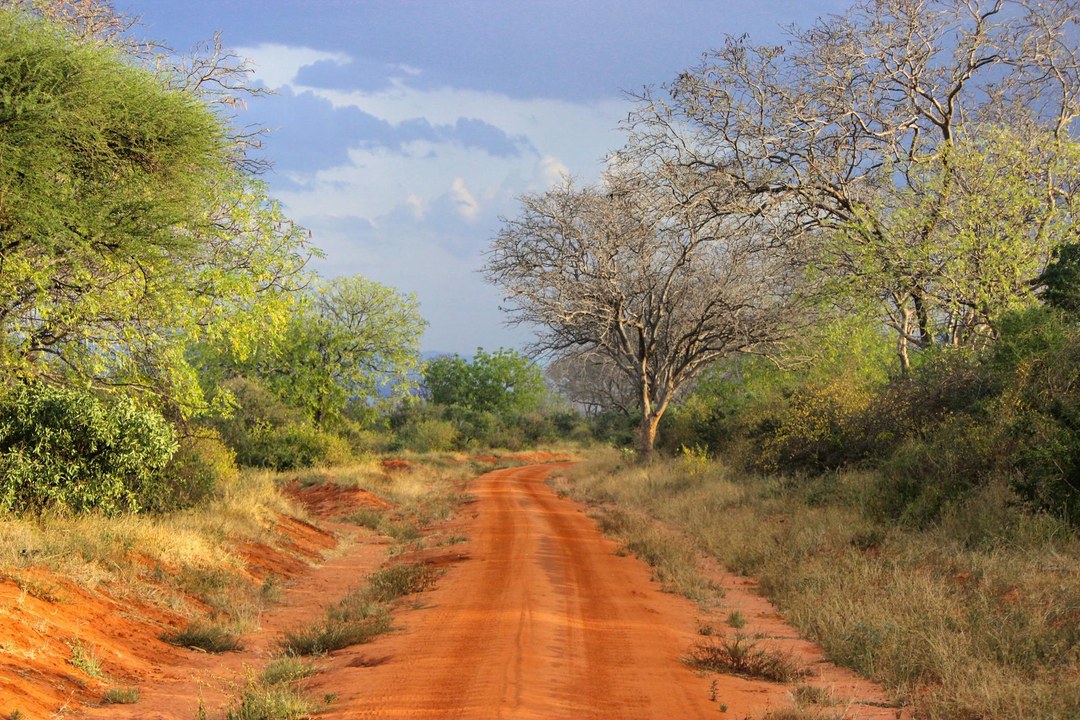 Taita Taveta County（泰塔塔韦塔县）-非行家旅行-Africa Wild Wander