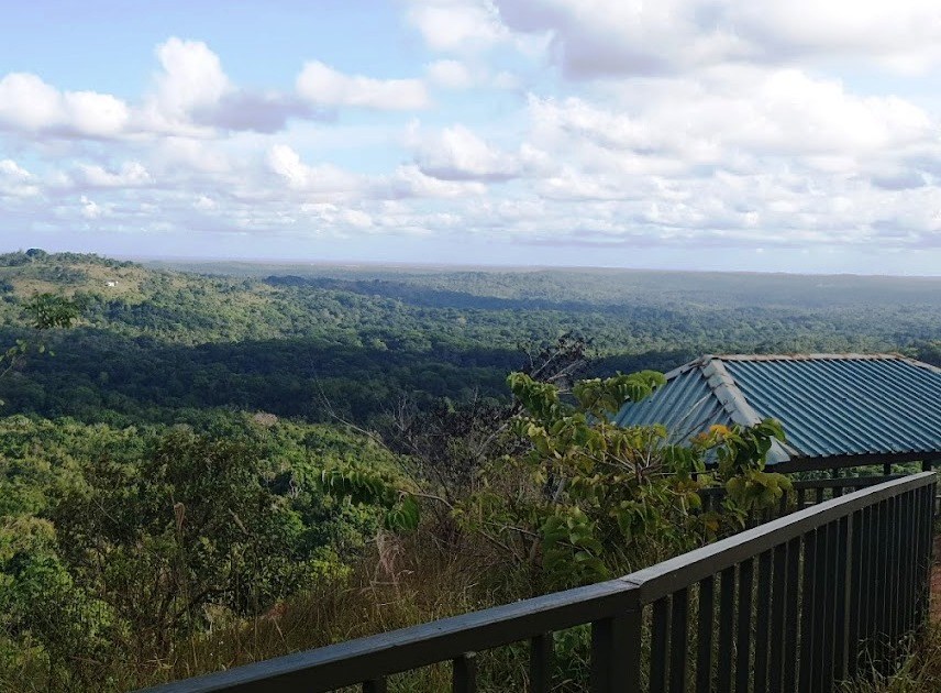 Elephant Lookout（保护区 / 野生动物）-非行家旅行-Africa Wild Wander