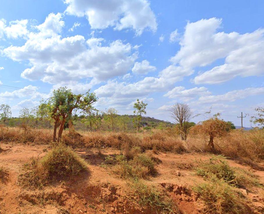 Muvaroa Hill Forest（穆瓦罗阿山森林）-非行家旅行-Africa Wild Wander