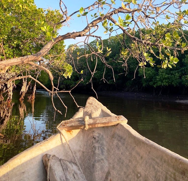 Mida Creek Nature Camp（水系 / 湖泊 / 海岸）-非行家旅行-Africa Wild Wander