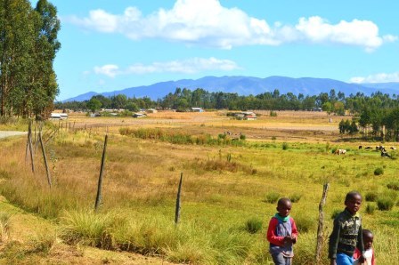 Kinangop Plateau（金南戈普高原）-非行家旅行-Africa Wild Wander