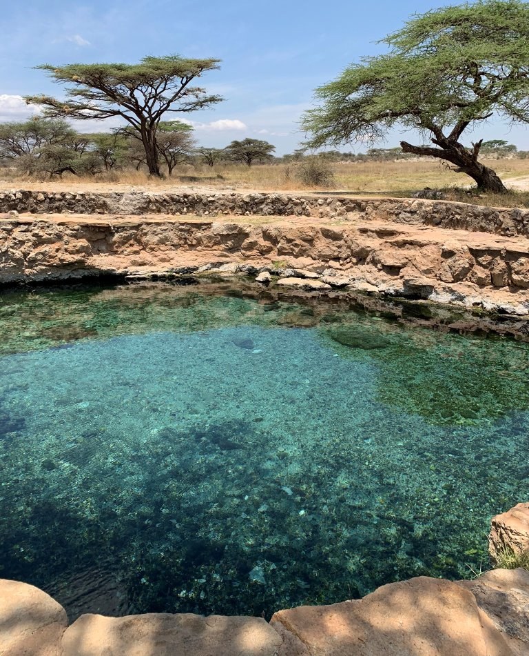 Buffalo Springs（水系 / 湖泊 / 海岸）-非行家旅行-Africa Wild Wander