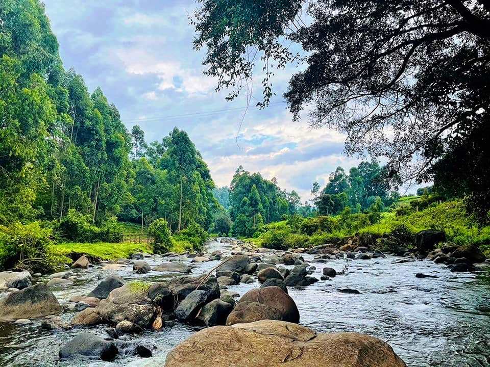 Mathioya River Lodge（河流 / 瀑布 / 水库）-非行家旅行-Africa Wild Wander