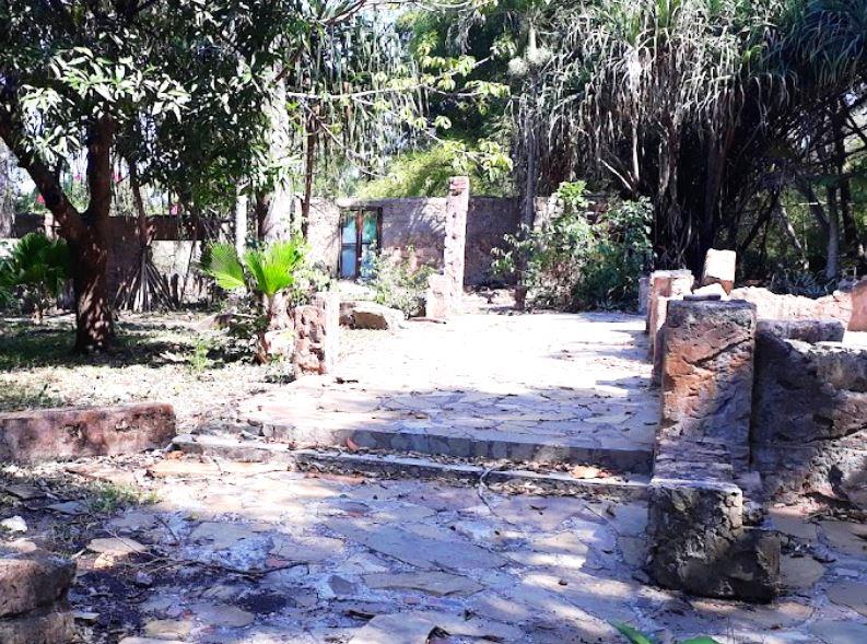 Shirazi Ruins(斯瓦希里遗产 / 文化景观)-非行家旅行-Africa Wild Wander