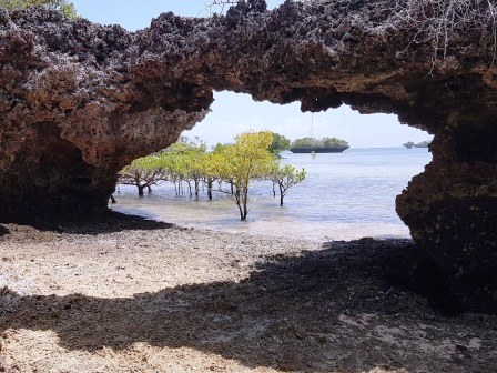Diani-Chale Marine National Reserve（迪亚尼-查莱海洋国家保护区）-非行家旅行-Africa Wild Wander