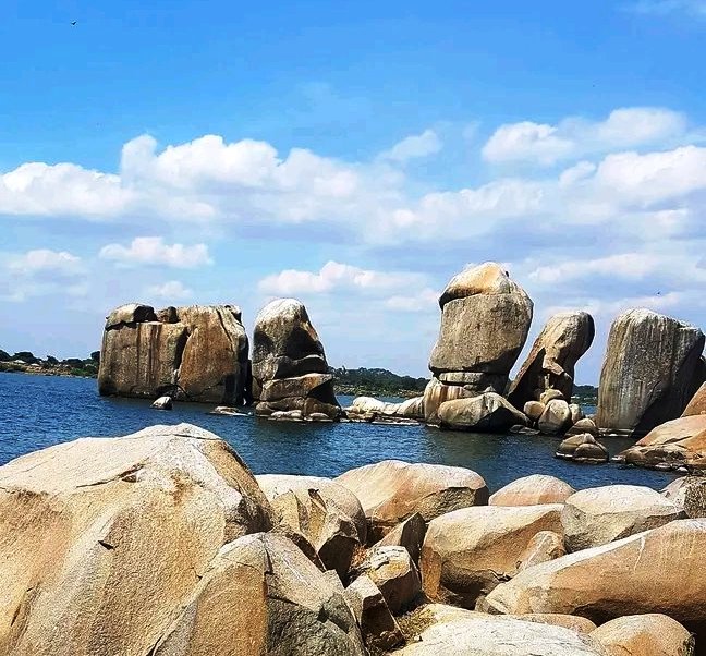 Muhuru Bay（水系 / 湖泊 / 海岸）-非行家旅行-Africa Wild Wander