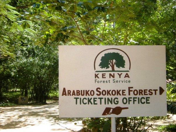 Arabuko Sokoke Forest（历史遗产 / 博物馆）-非行家旅行-Africa Wild Wander