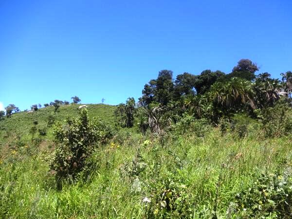 Forests in Kenya（水系 / 湖泊 / 海岸）-非行家旅行-Africa Wild Wander