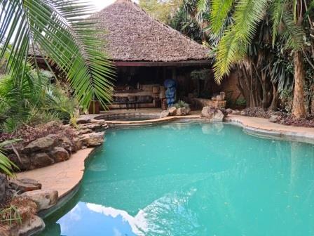 African Heritage House（非洲遗产之家）-非行家旅行-Africa Wild Wander