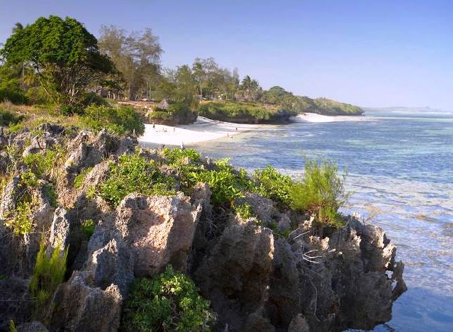 Tiwi Beach(蒂维海滩)-非行家旅行-Africa Wild Wander