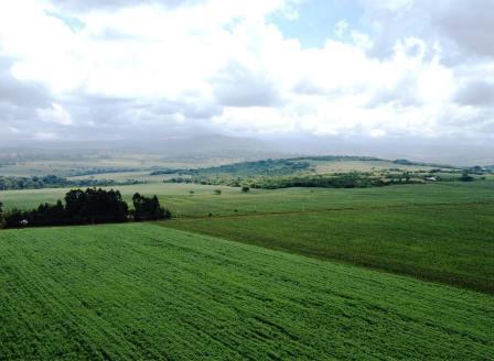 Trans Nzoia County（特兰斯恩佐亚县）-非行家旅行-Africa Wild Wander
