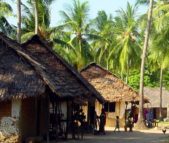 Matondoni Ruins（斯瓦希里遗产 / 博物馆）-非行家旅行-Africa Wild Wander