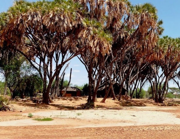 Saruni Rhino Camp（社区保护地 / 北部保护网络）-非行家旅行-Africa Wild Wander