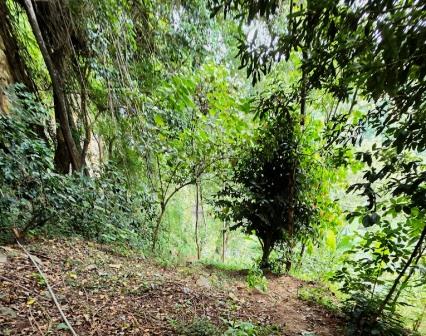 Irine Falls（地貌 / 瀑布 / 泉水）-非行家旅行-Africa Wild Wander