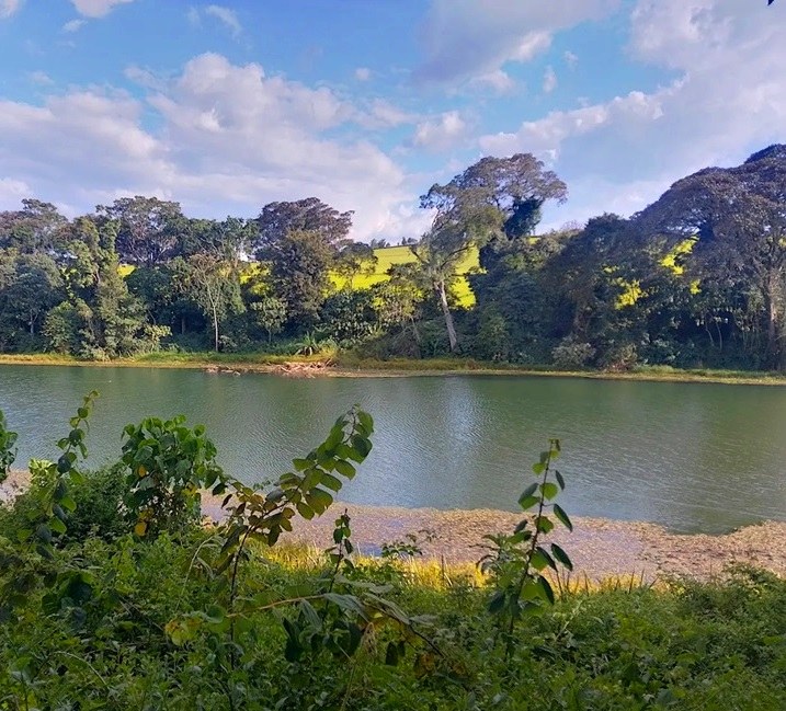 Chagaik Arboretum（查盖克树木园）-非行家旅行-Africa Wild Wander