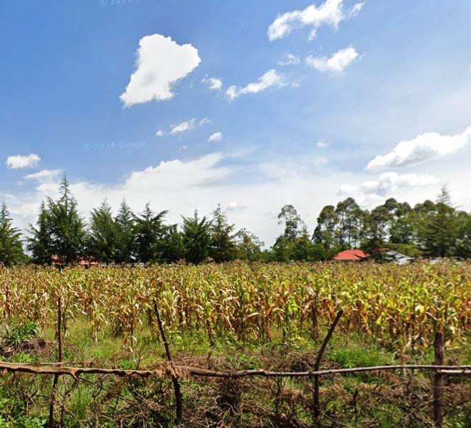 Chebara Irrigation Scheme（县域目的地 / 专题资料）-非行家旅行-Africa Wild Wander