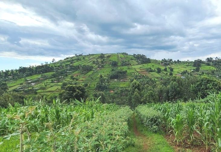 Nkoora Hill（水系 / 湖泊 / 海岸）-非行家旅行-Africa Wild Wander