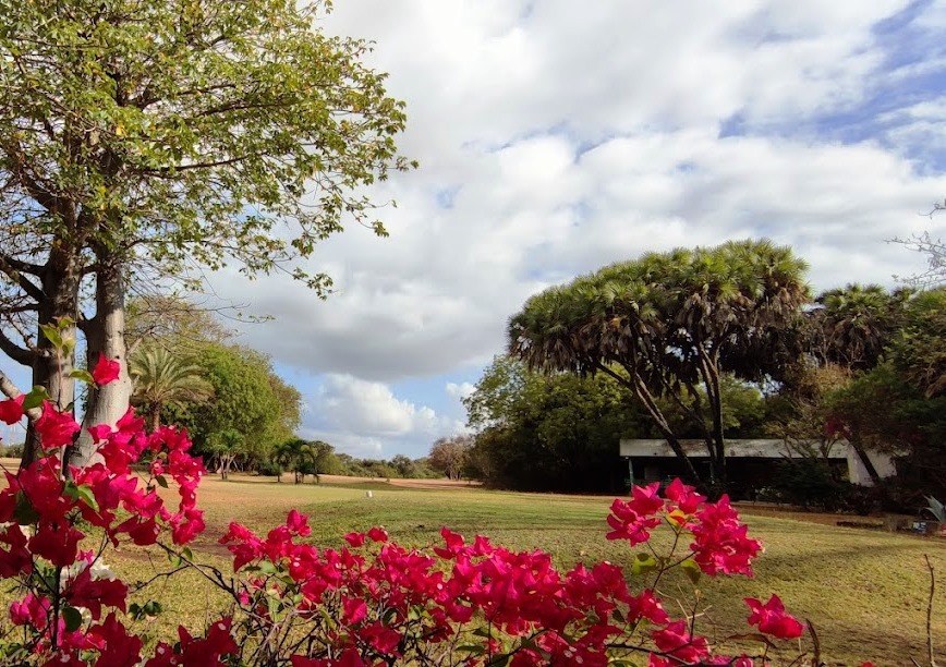 Malindi Golf Club（旅行指南）-非行家旅行-Africa Wild Wander