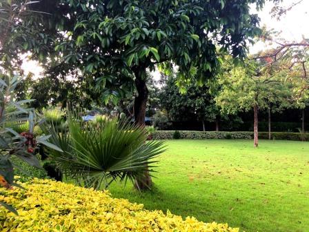 Tredds Garden（Tredds 花园）-非行家旅行-Africa Wild Wander