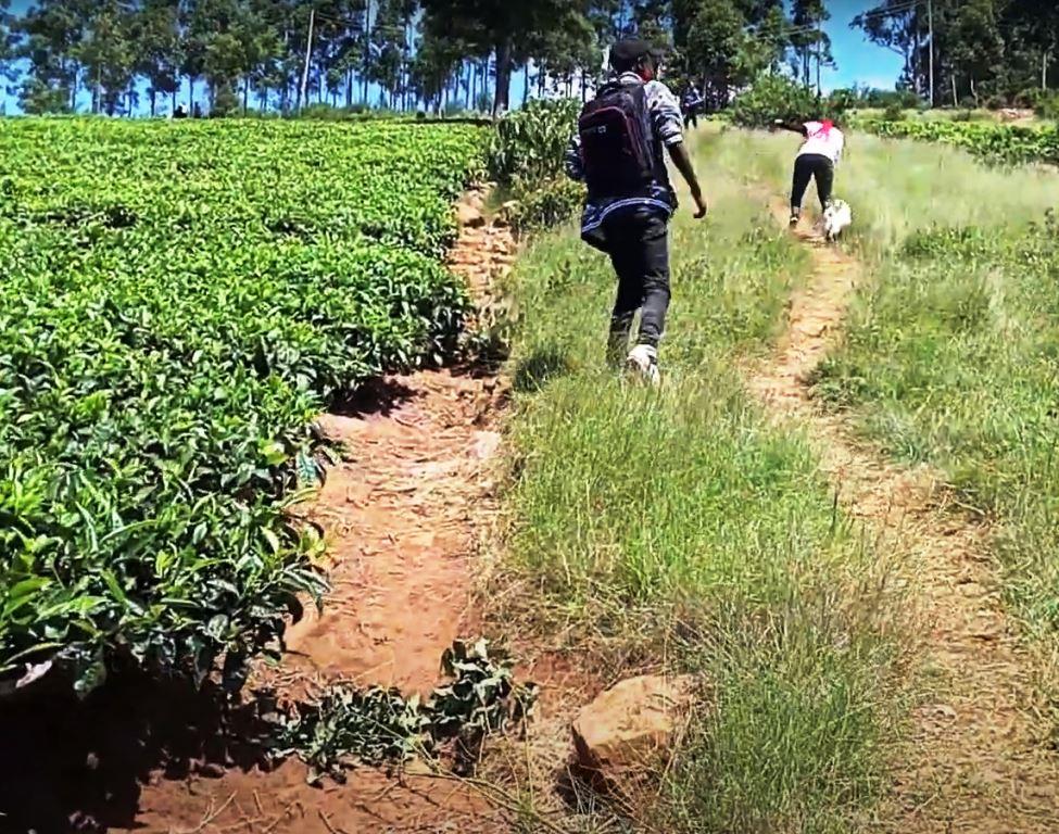 Sameta Hill（自然景观 / 徒步）-非行家旅行-Africa Wild Wander