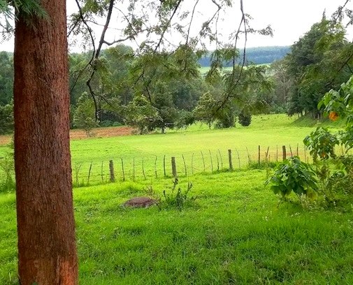 Kimugu River Lodge（水系 / 瀑布）-非行家旅行-Africa Wild Wander